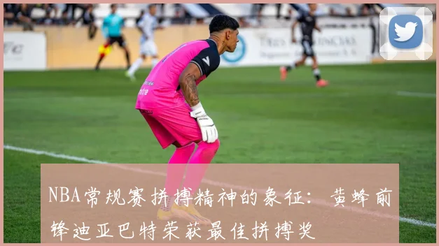 NBA常规赛拼搏精神的象征：黄蜂前锋迪亚巴特荣获最佳拼搏奖