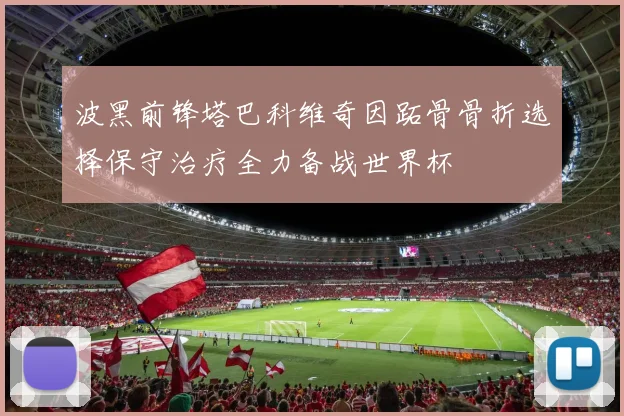波黑前锋塔巴科维奇因跖骨骨折选择保守治疗全力备战世界杯